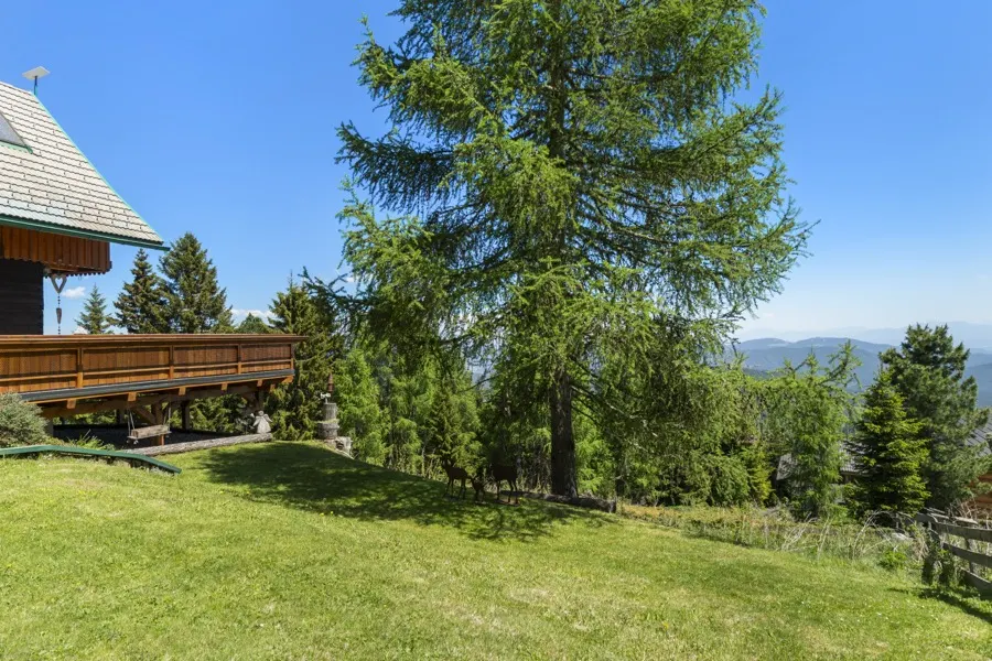 Garten mit Lärche und Fernblick